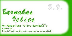barnabas velics business card